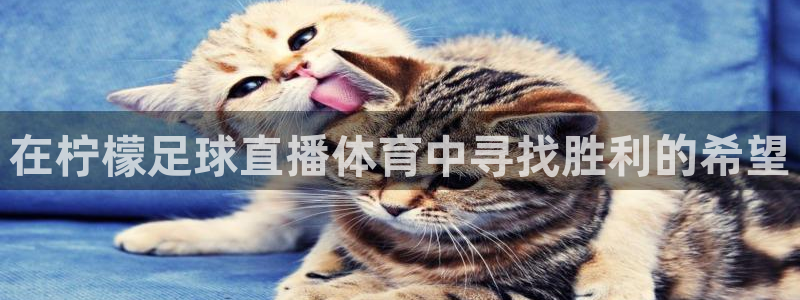必一运动平台：在柠檬足球直播体育中寻找胜