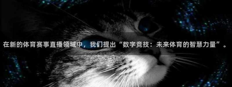 bsports必一体育：在新的体育赛事直