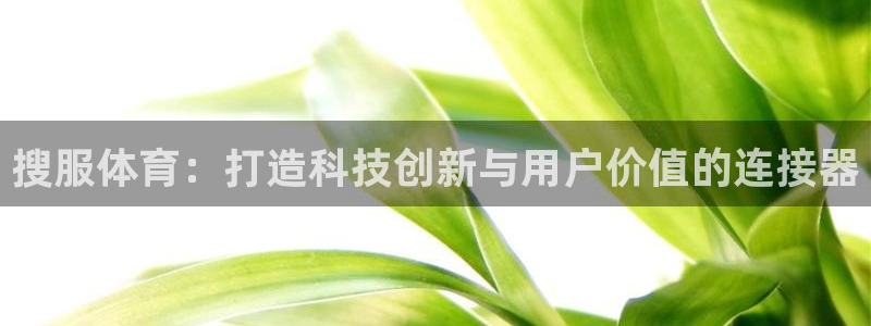 必一运动官网：搜服体育：打造科技创新与用